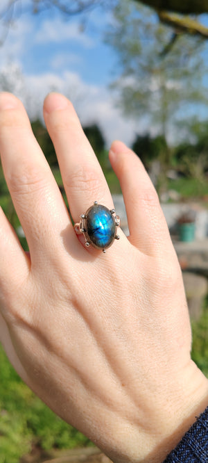 Descriptive image text