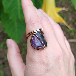 Descriptive image text