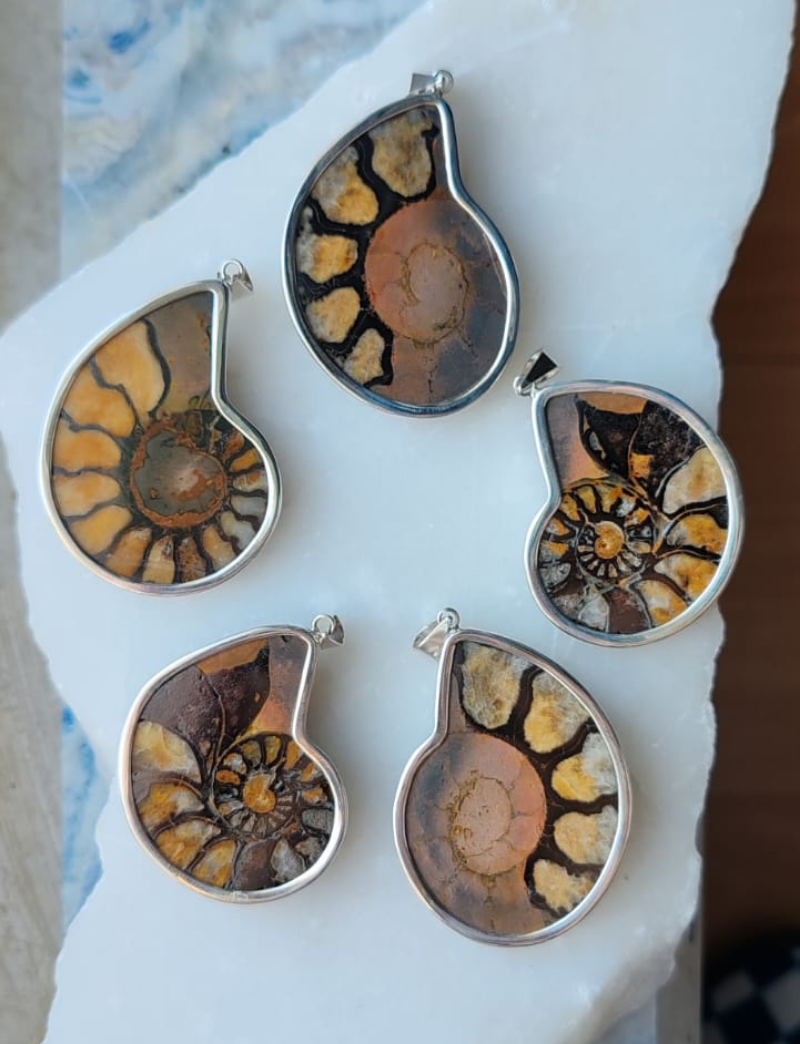 AMMONİT GÜMÜŞ KOLYE