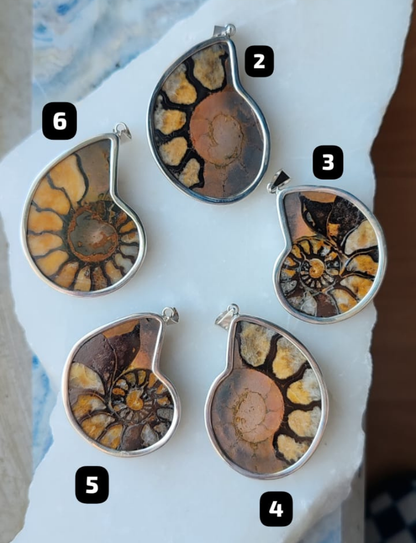 AMMONİT GÜMÜŞ KOLYE